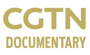 CGTN紀錄頻道臺標